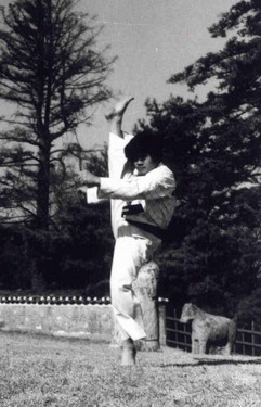 Meister Lee pal cha olligi.jpg